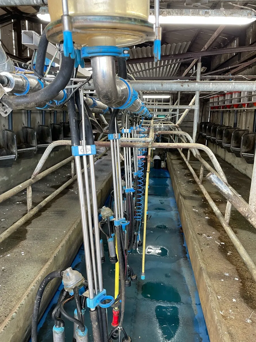 milking parlour - Image 3