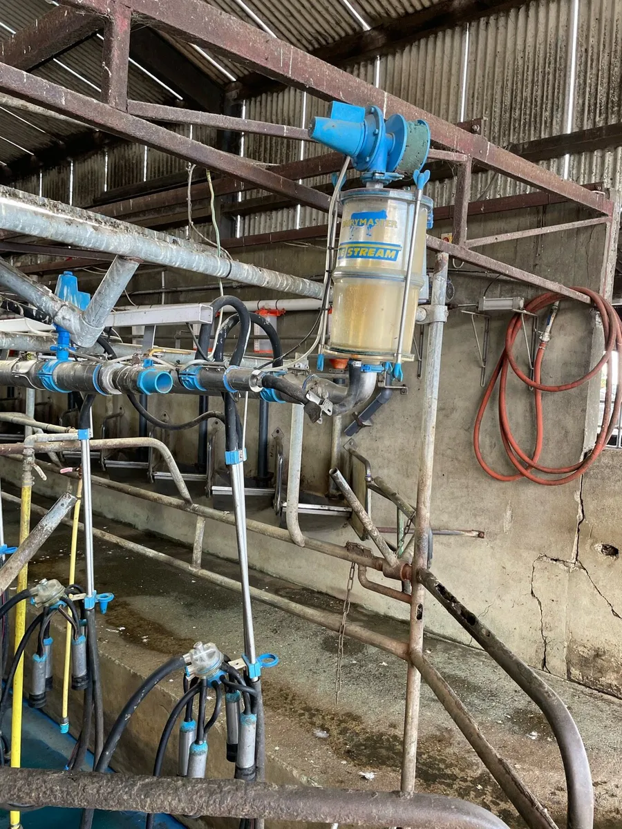 milking parlour - Image 4
