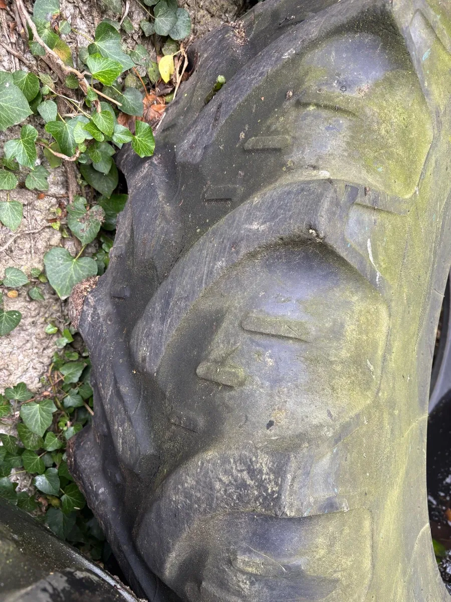 TYREs - Image 2