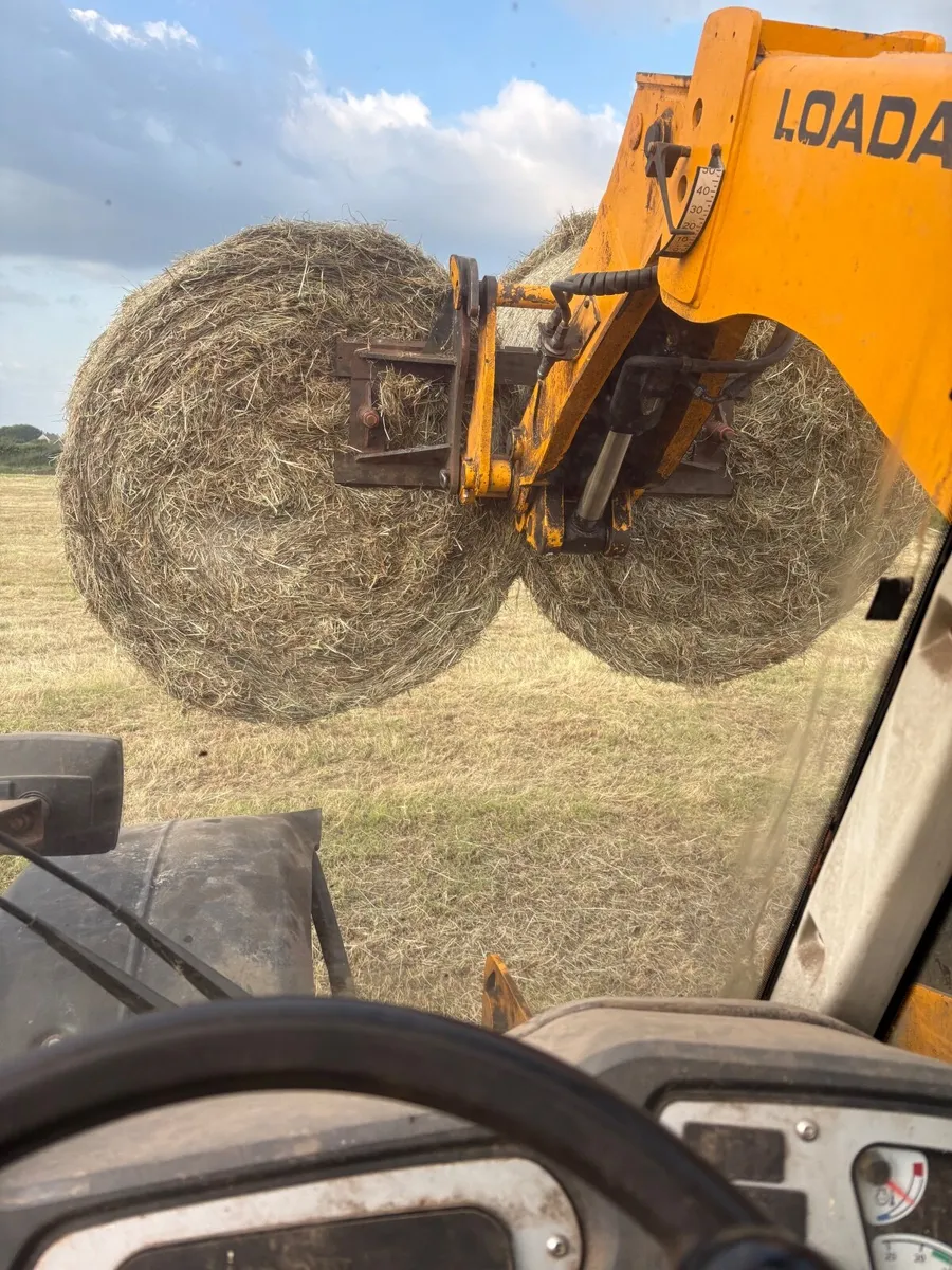 Hay for sale - Image 3