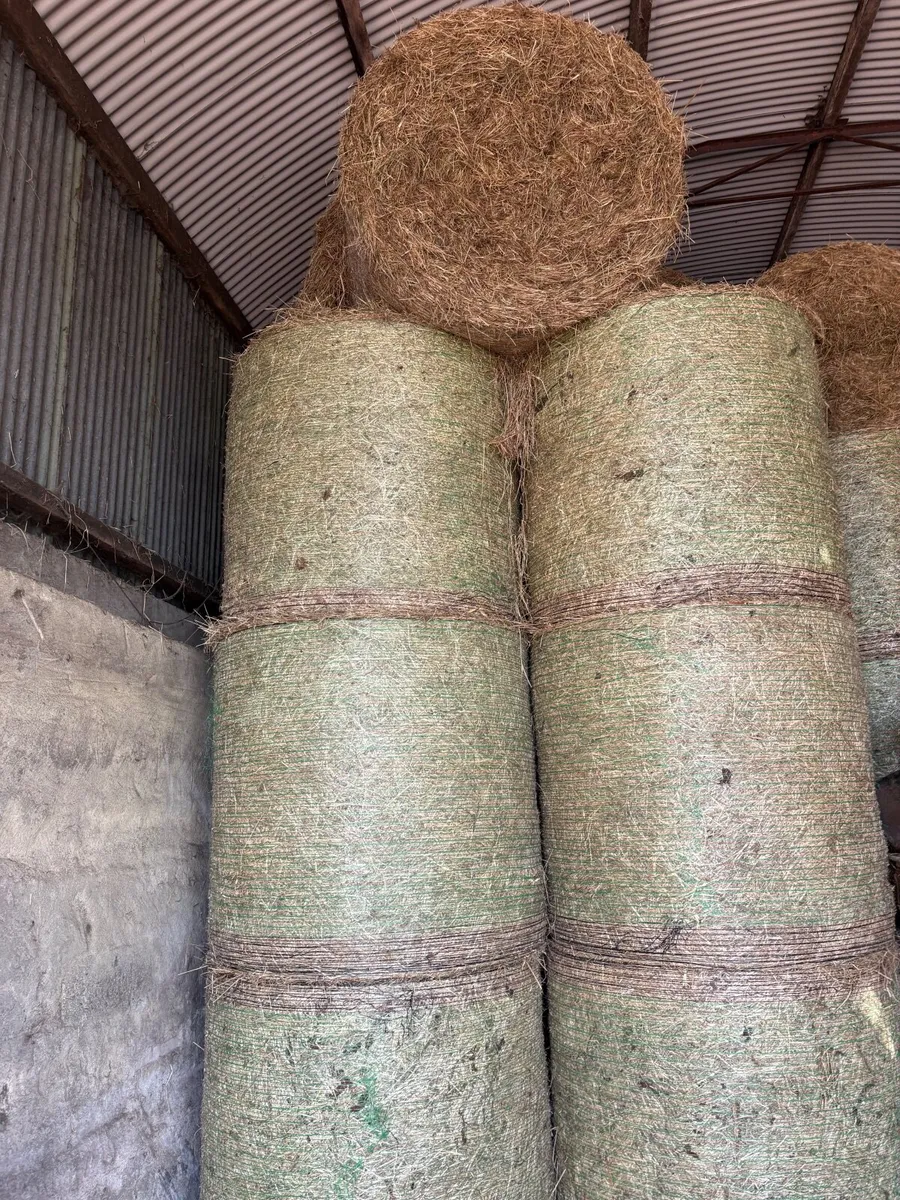 Hay for sale - Image 4