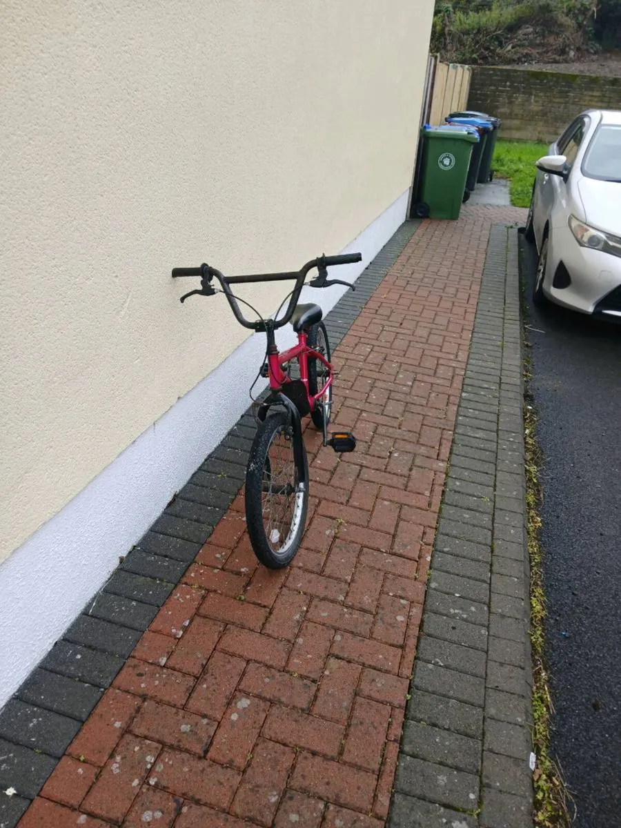 BMX - Image 3