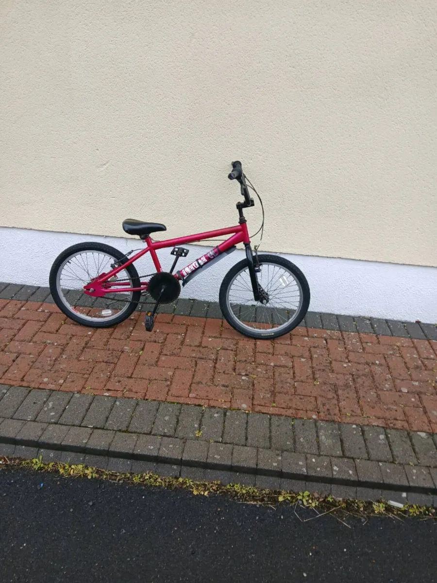 BMX - Image 2