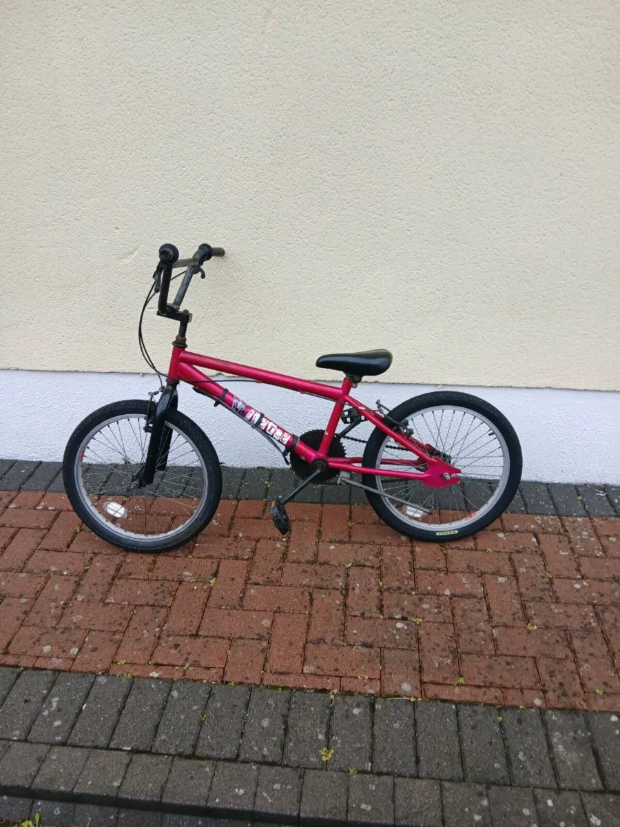 BMX - Image 4
