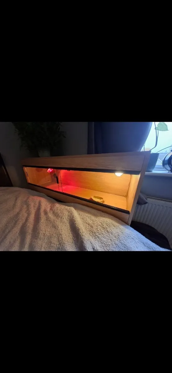 Terrarium for Sale – Accessories Included - Image 3