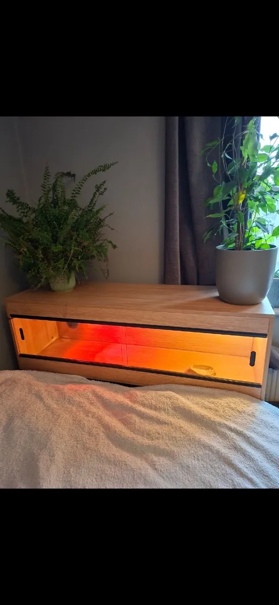 Terrarium for Sale – Accessories Included - Image 1