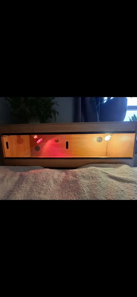 Terrarium for Sale – Accessories Included - Image 4