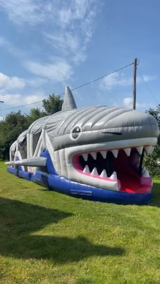 Bouncy Castle - Image 1
