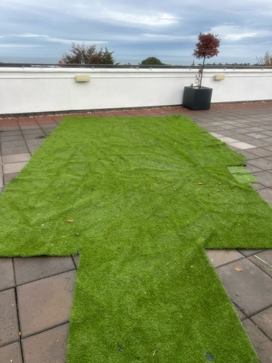 Artificial grass - Image 3