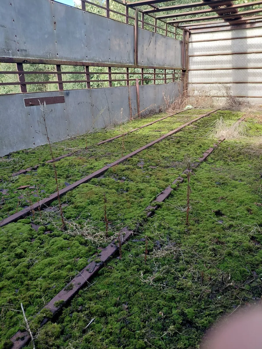 24 ft tractor cattle trailer - Image 3