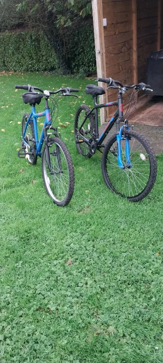 Bikes - Image 1