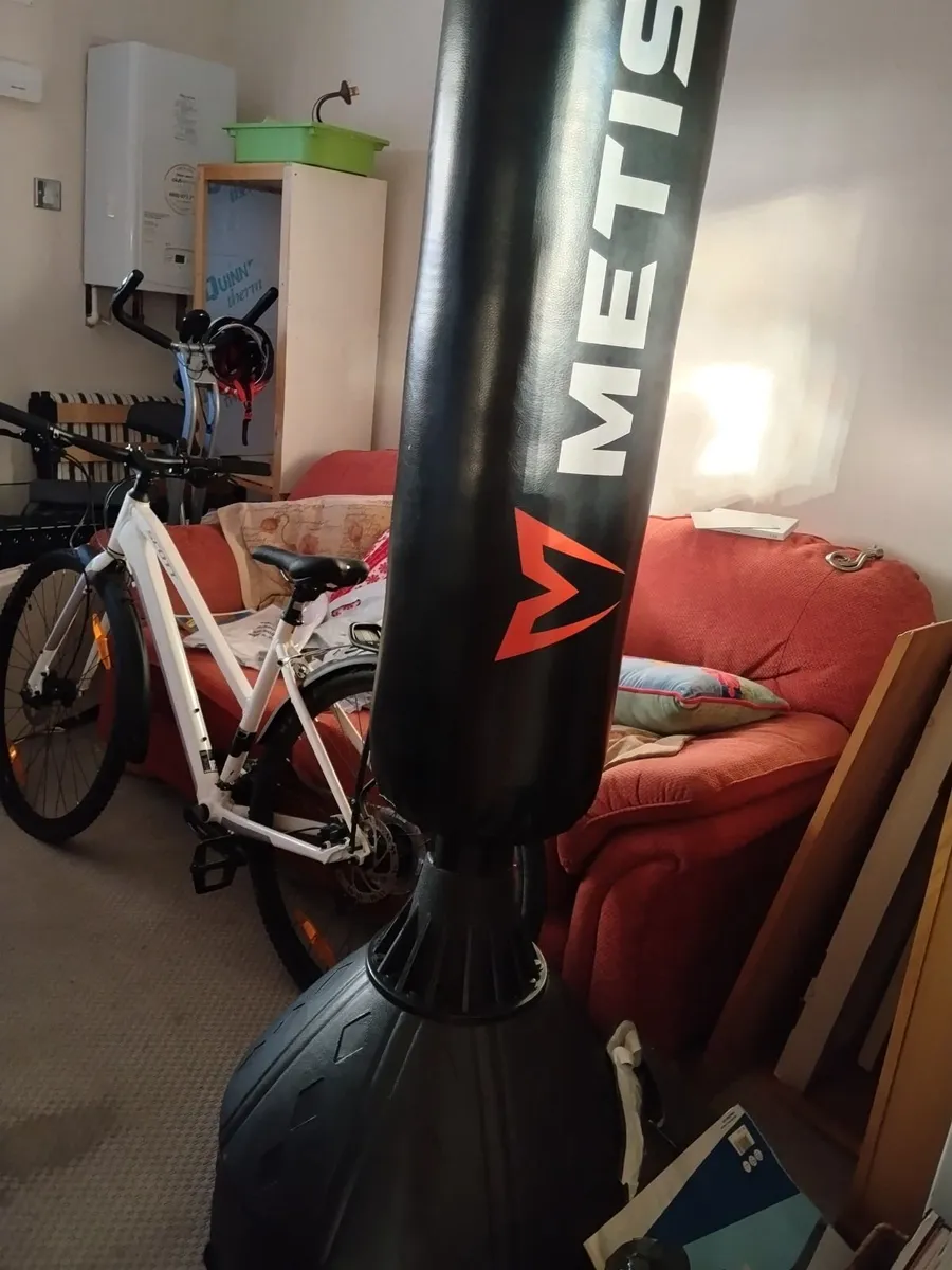 Freestanding Boxing/ punching  bag - Image 2