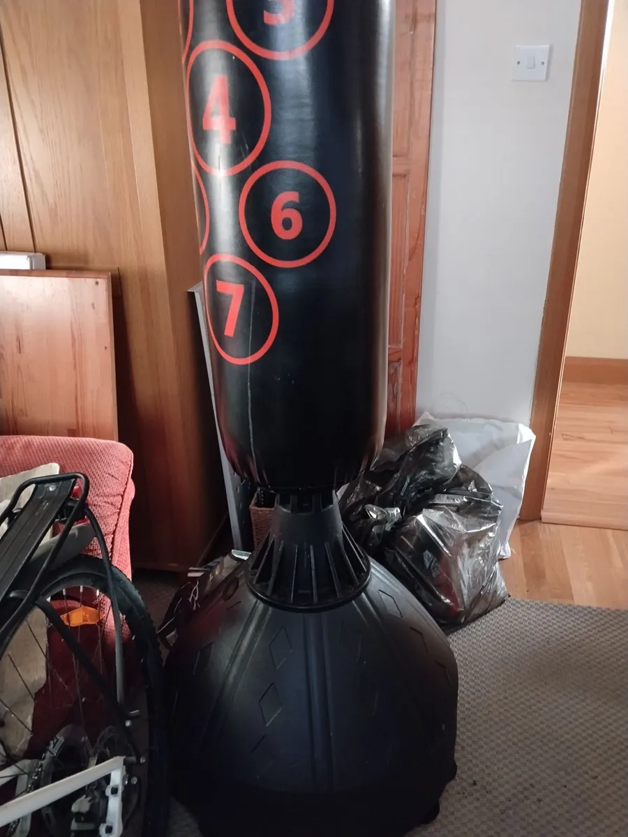 Freestanding Boxing/ punching  bag - Image 3