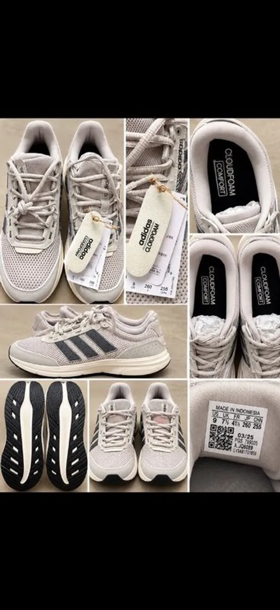 trainers