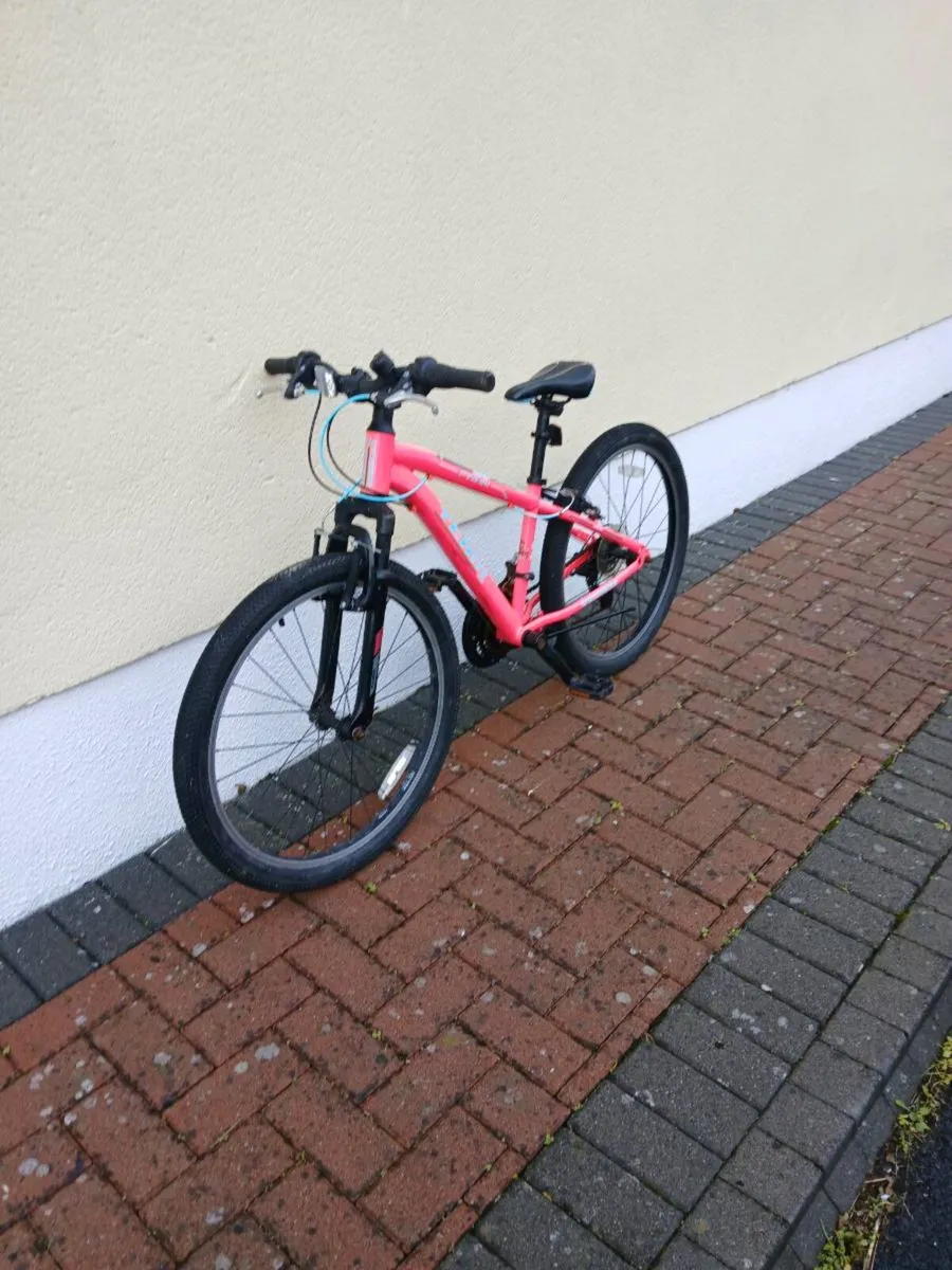 Bike - Image 1