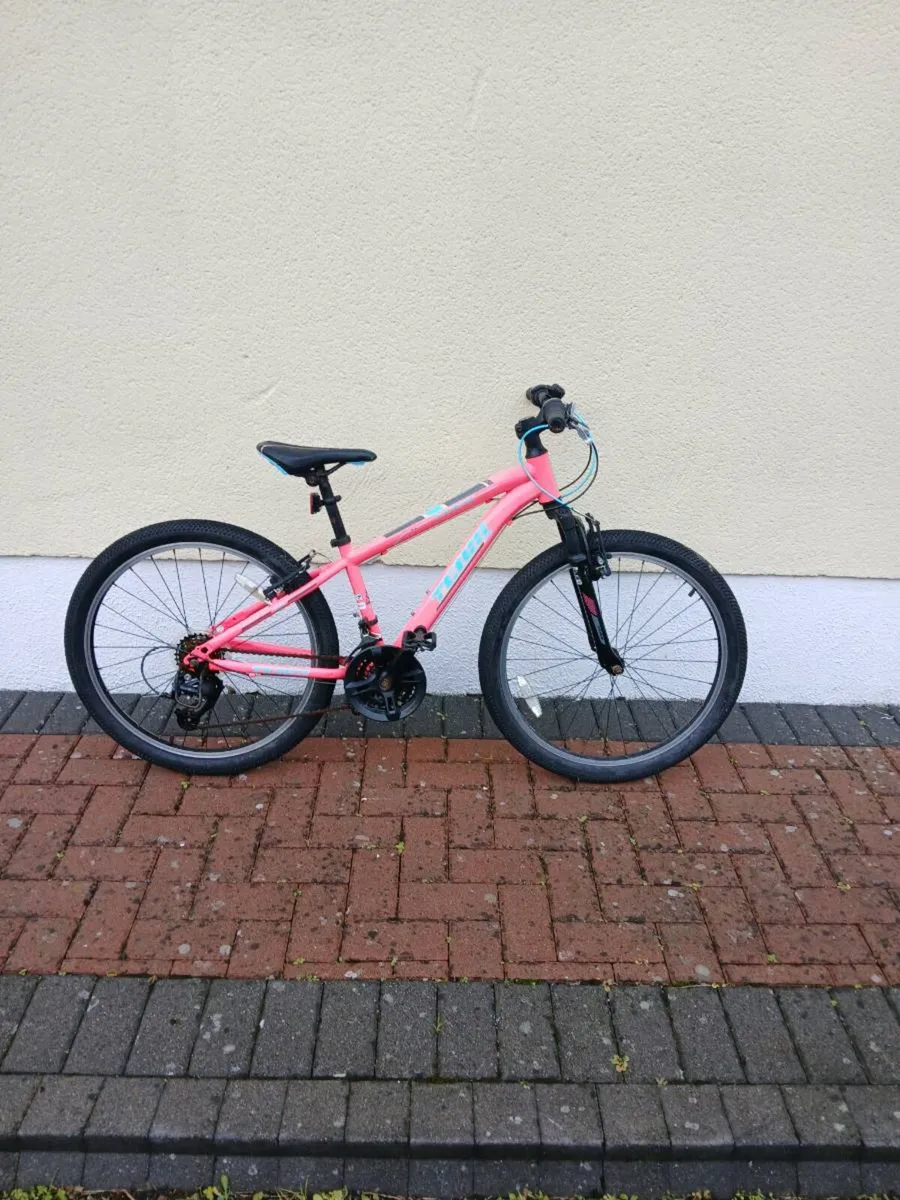 Bike - Image 3