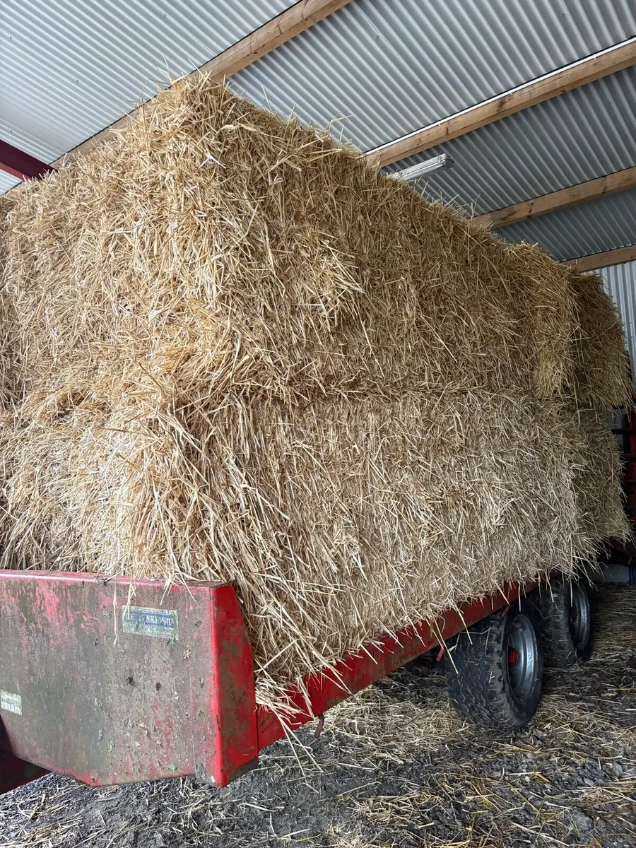 Straw - Image 3