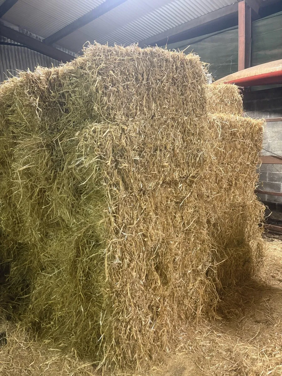 Straw - Image 4