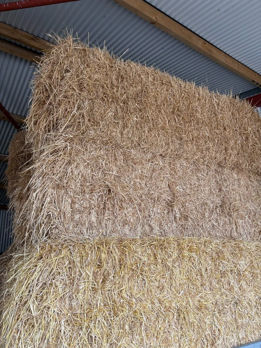 Straw - Image 1