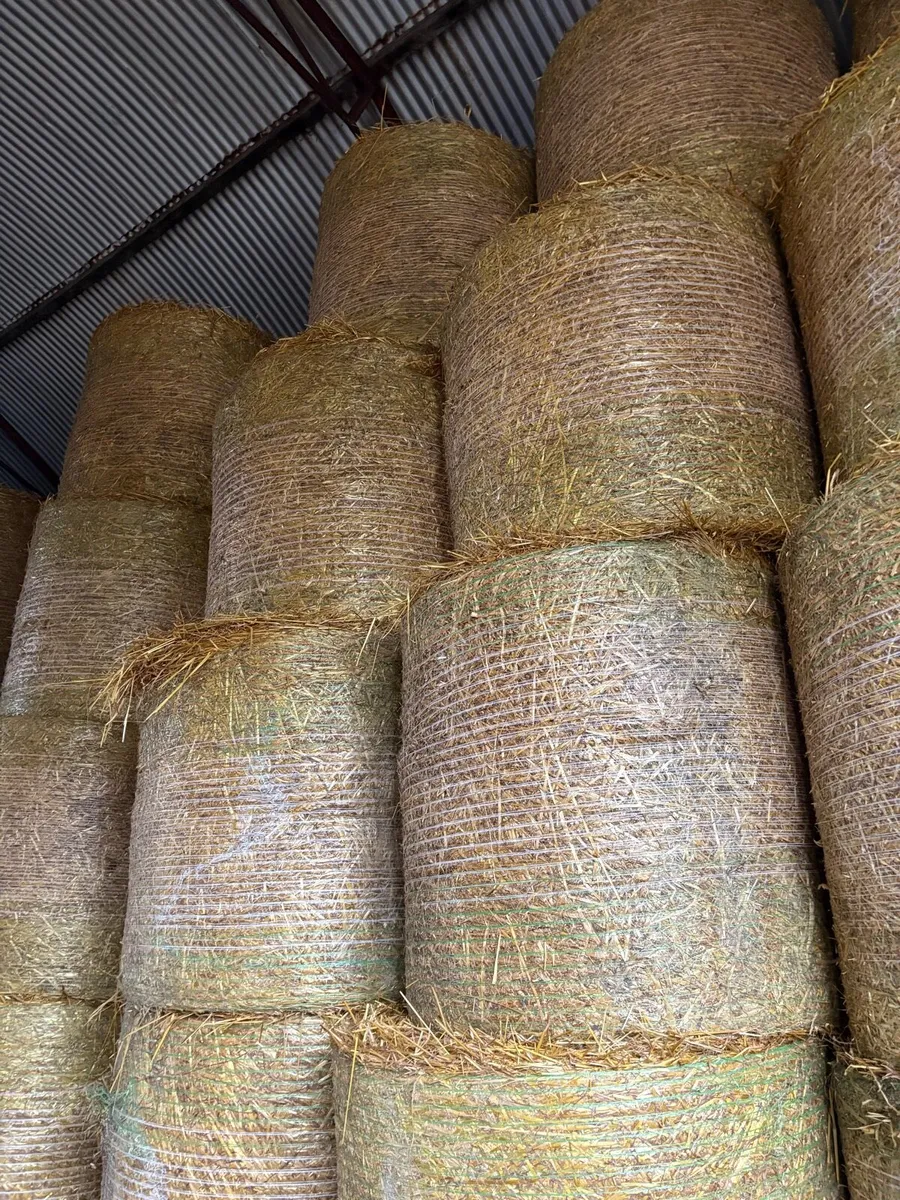 Straw - Image 2