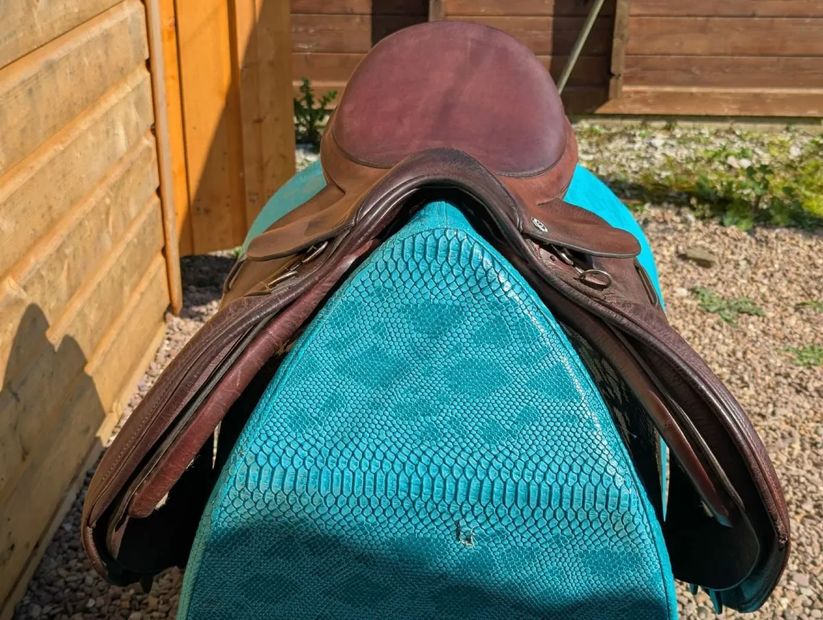 16.5" Barnsby XXW Saddle - Image 2