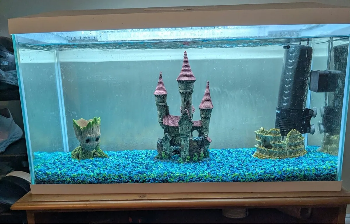 Fish Tank & Accessories - Image 1