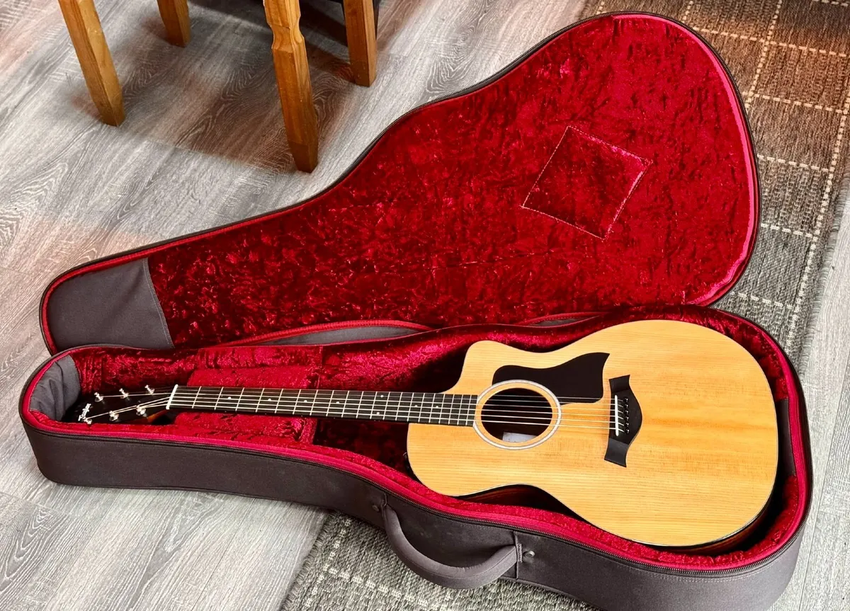 Guitar, Amp And Loop Station - Image 1