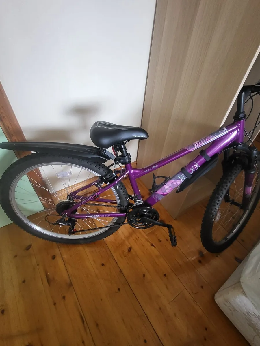 Girls mountain bike
