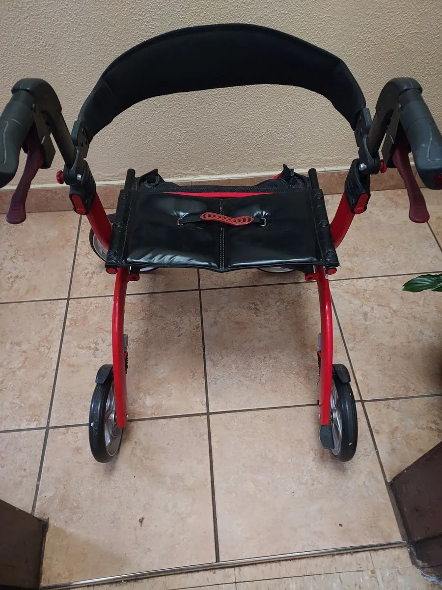 Walker - Image 1