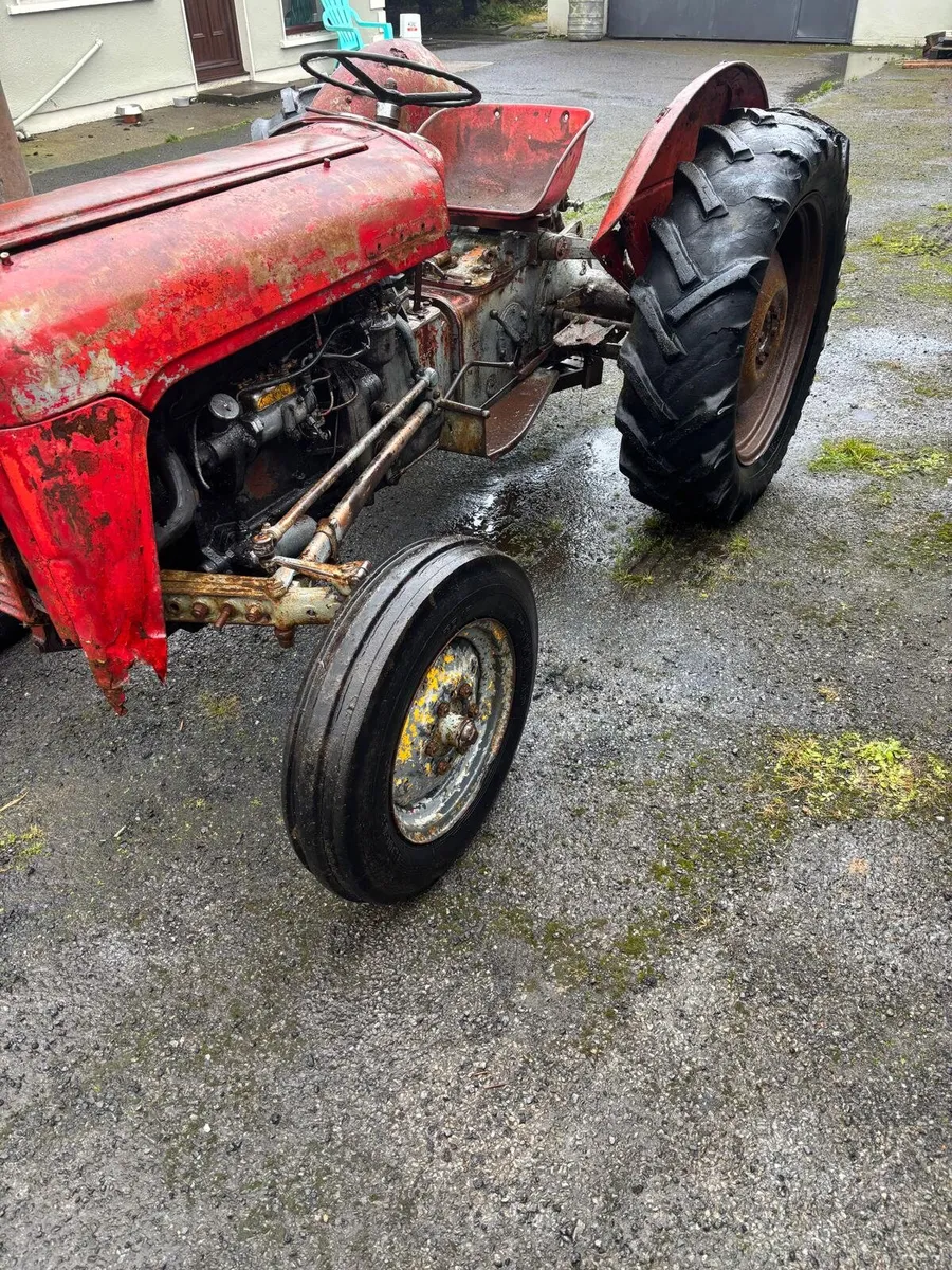 Massey Ferguson 35 Goldbelly - Image 2
