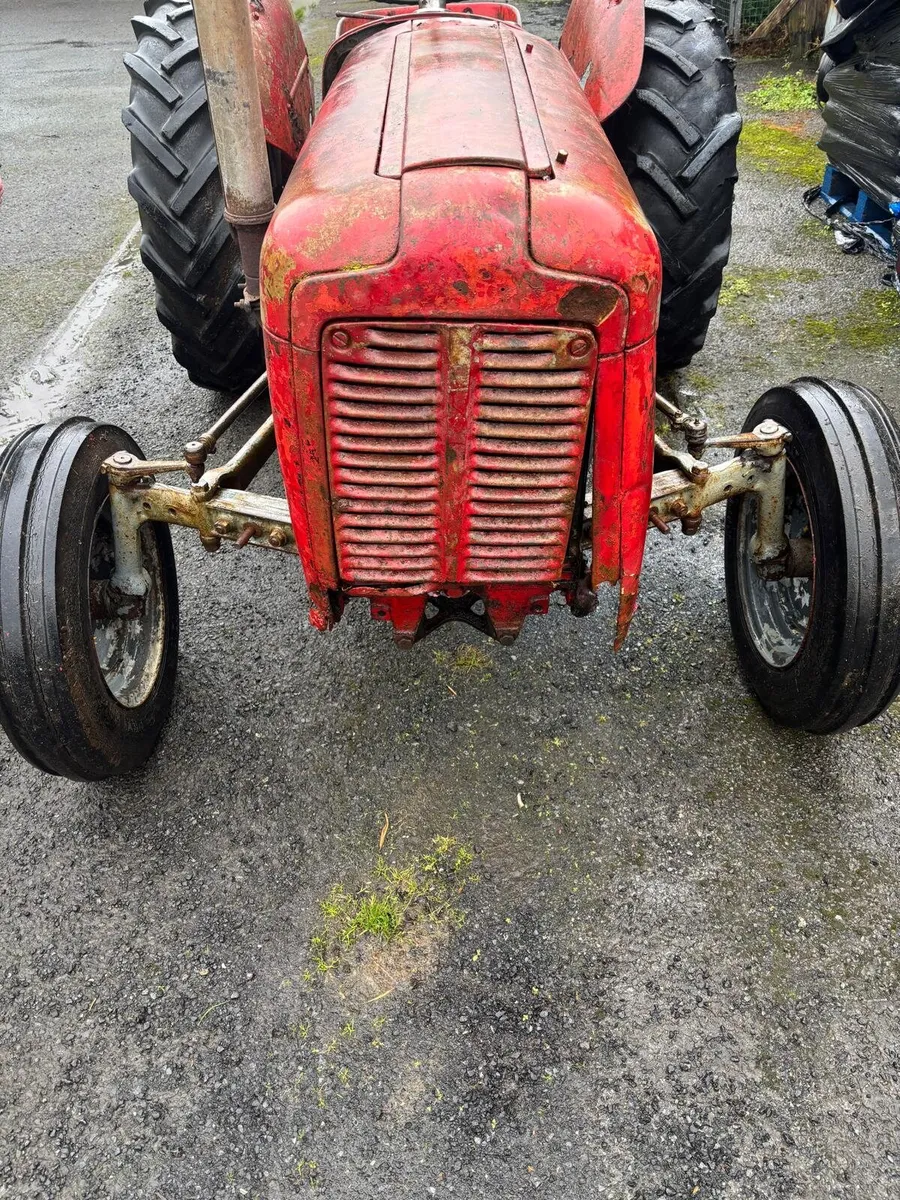 Massey Ferguson 35 Goldbelly - Image 3