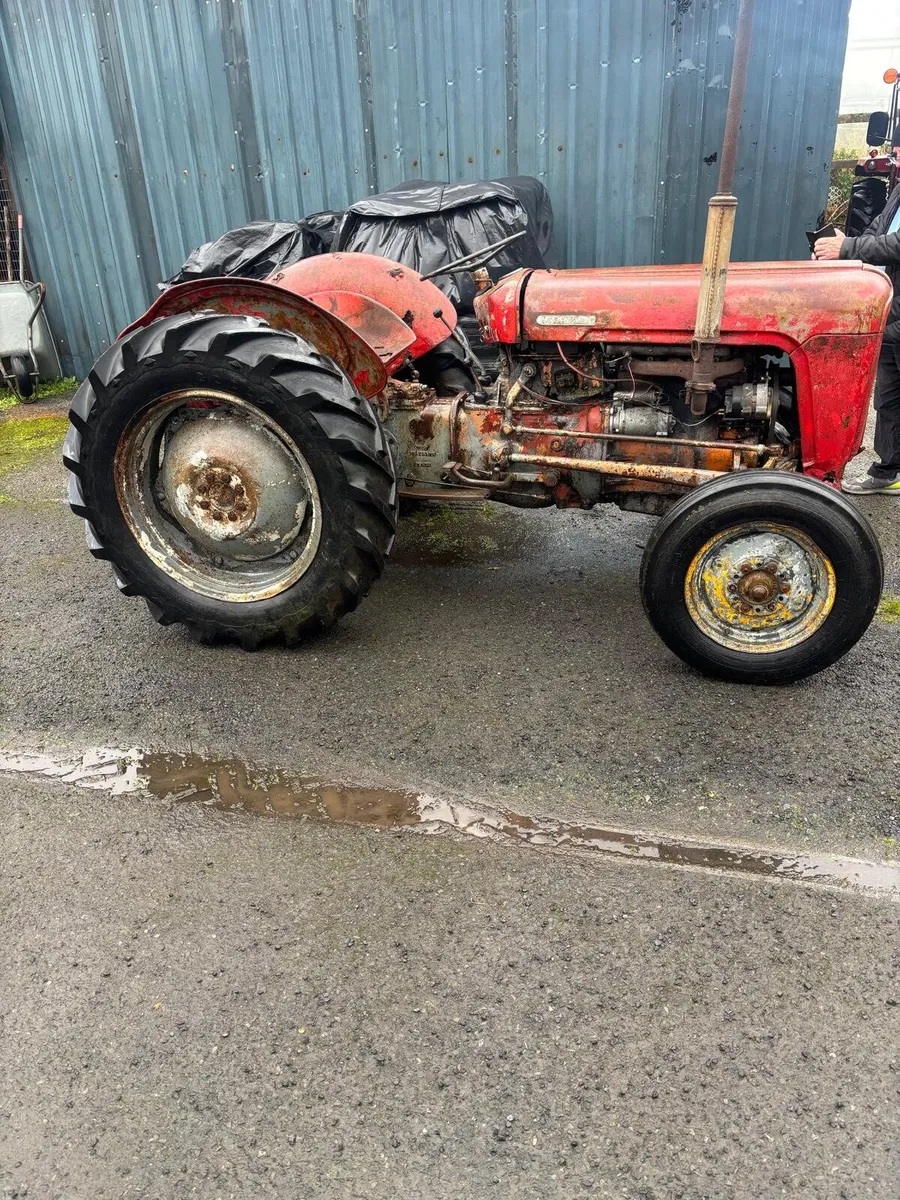 Massey Ferguson 35 Goldbelly - Image 4