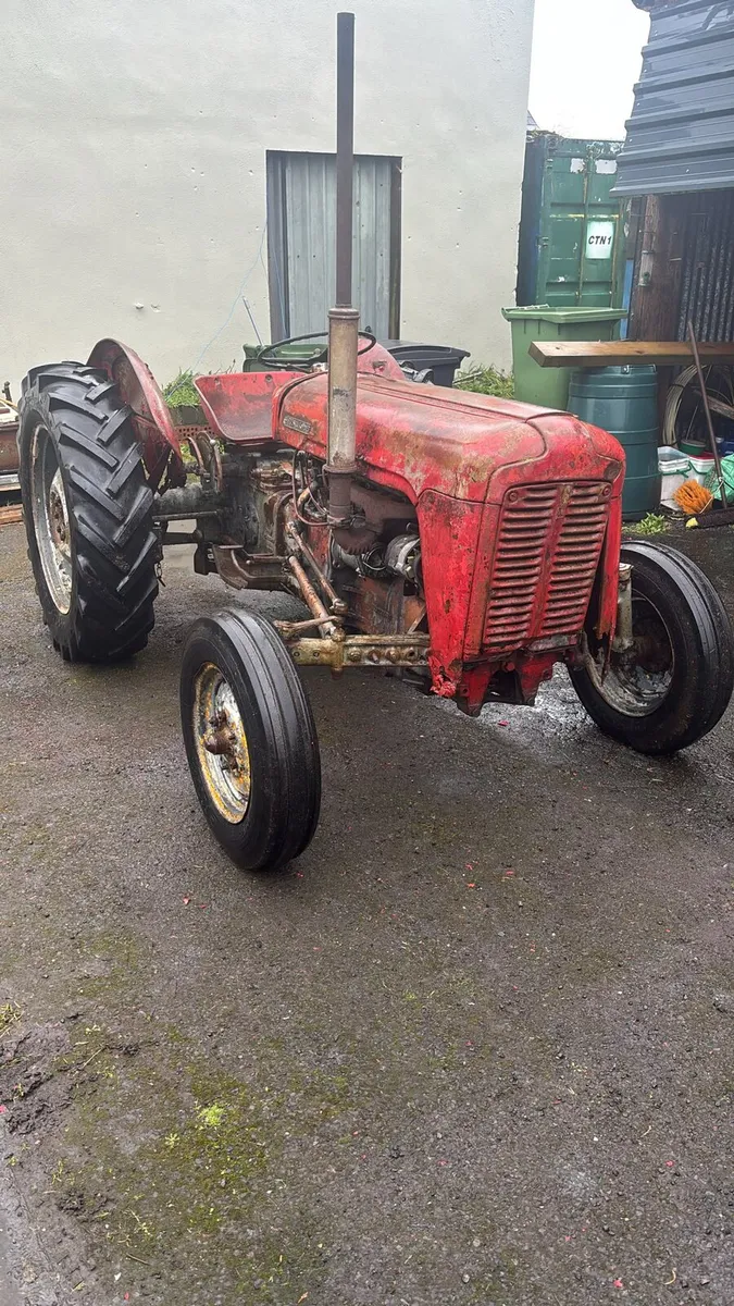 Massey Ferguson 35 Goldbelly - Image 1