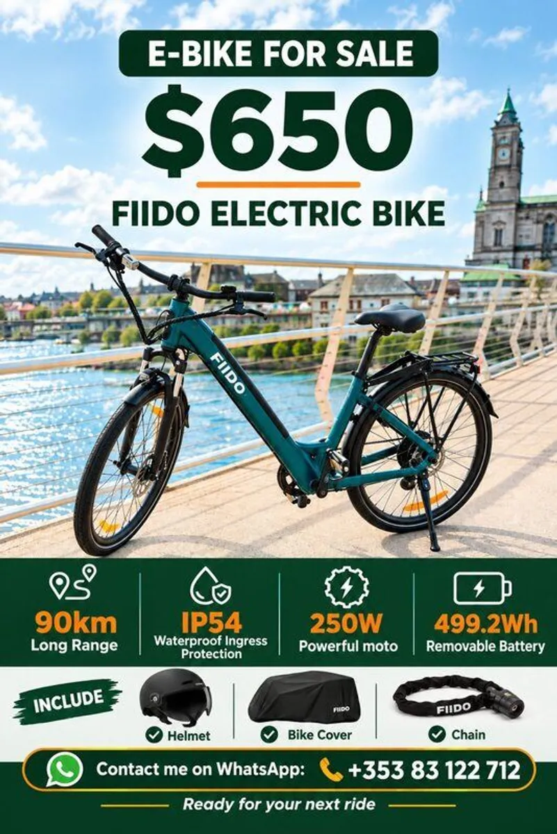 FIIDO C11 Electric Bike - Image 1