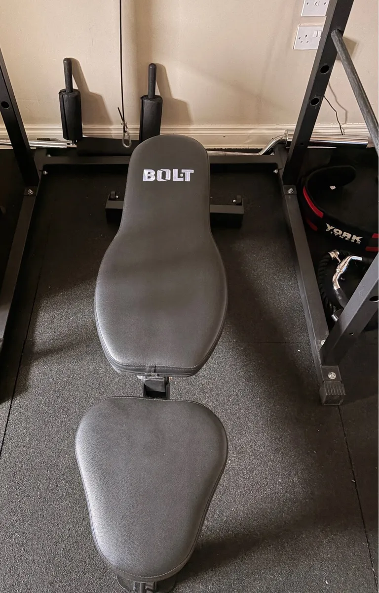 Complete Home Gym Setup - Image 2
