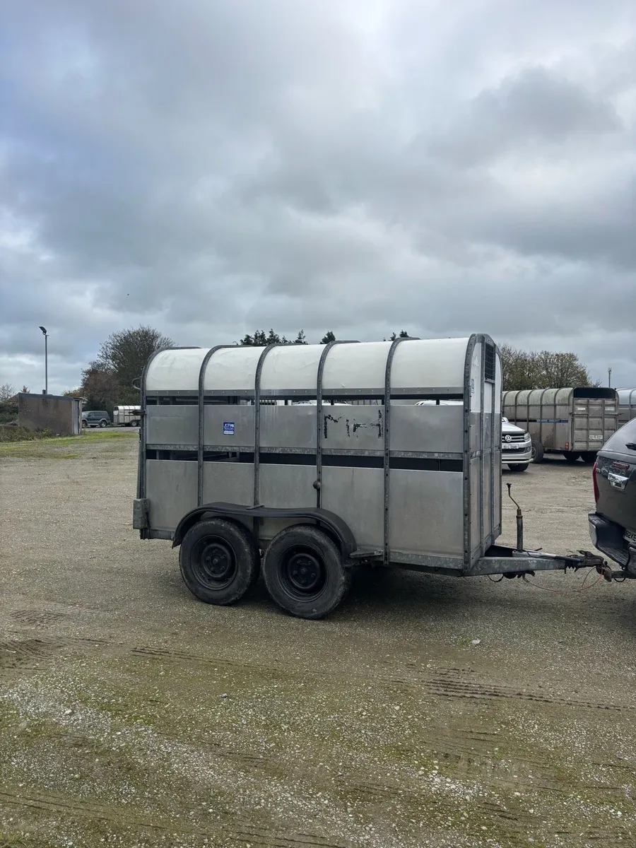 Nugent cattle trailer - Image 2