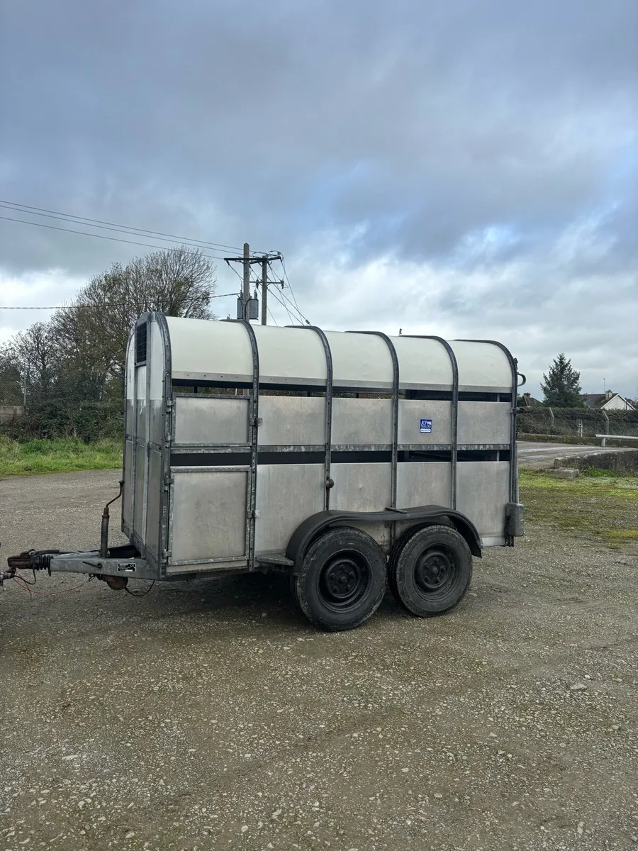 Nugent cattle trailer - Image 1