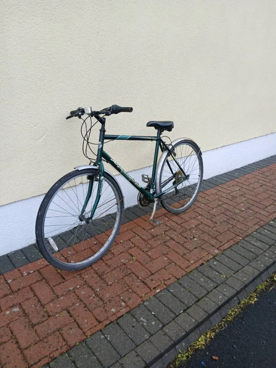 Bike - Image 1