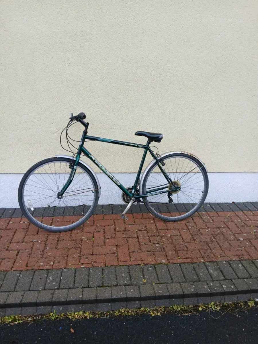 Bike - Image 2