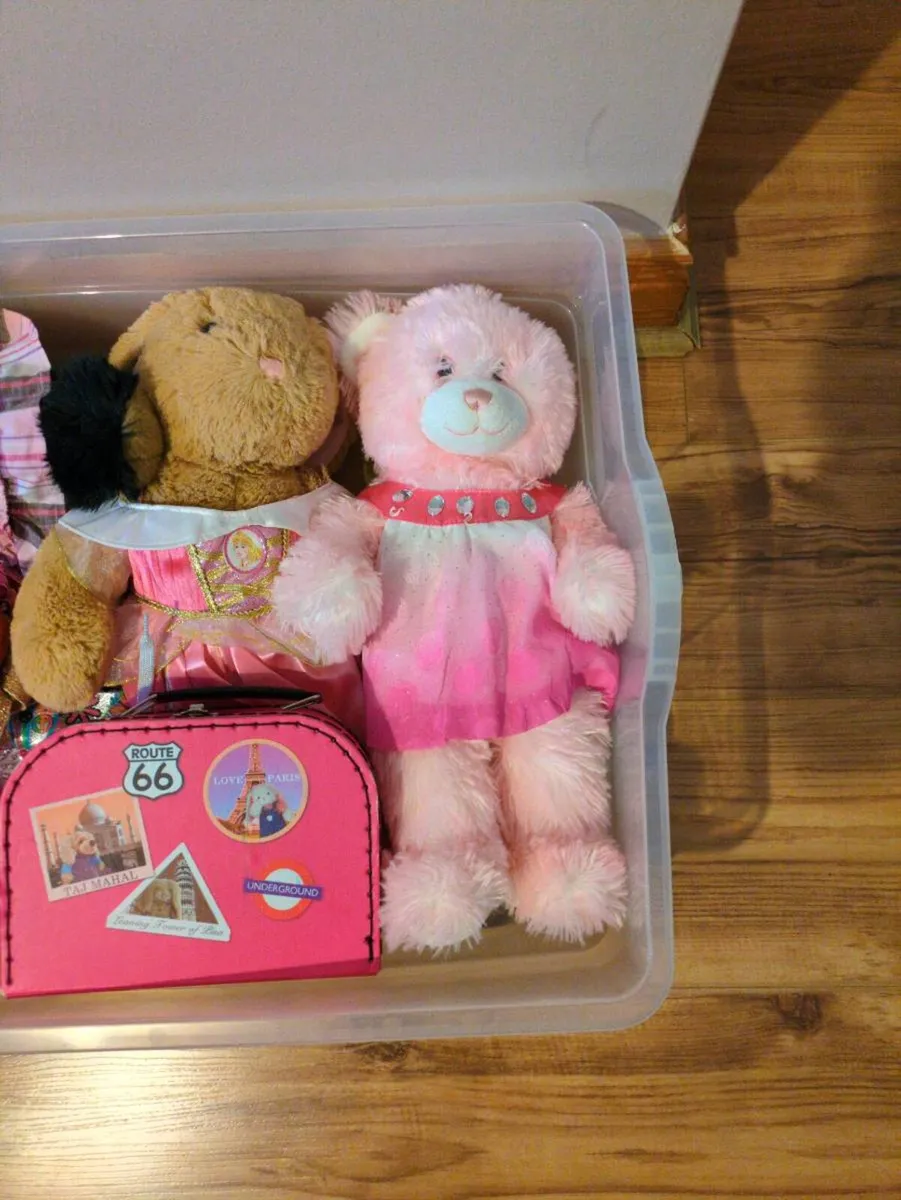 Build a Bear - Image 2