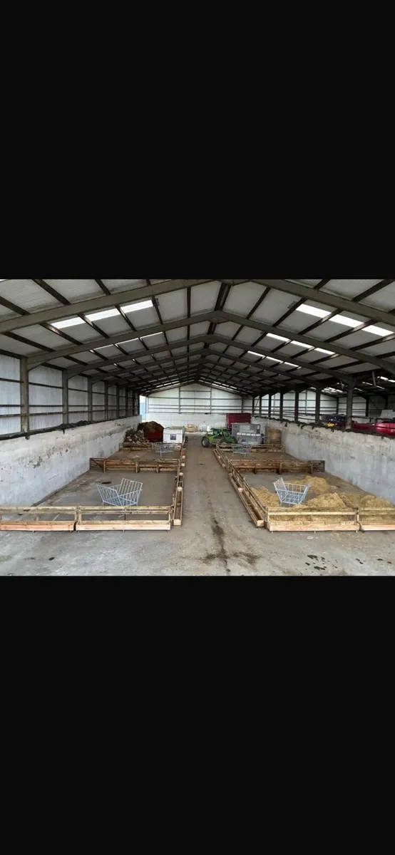 Wooden feed barriers for sheep - Image 1