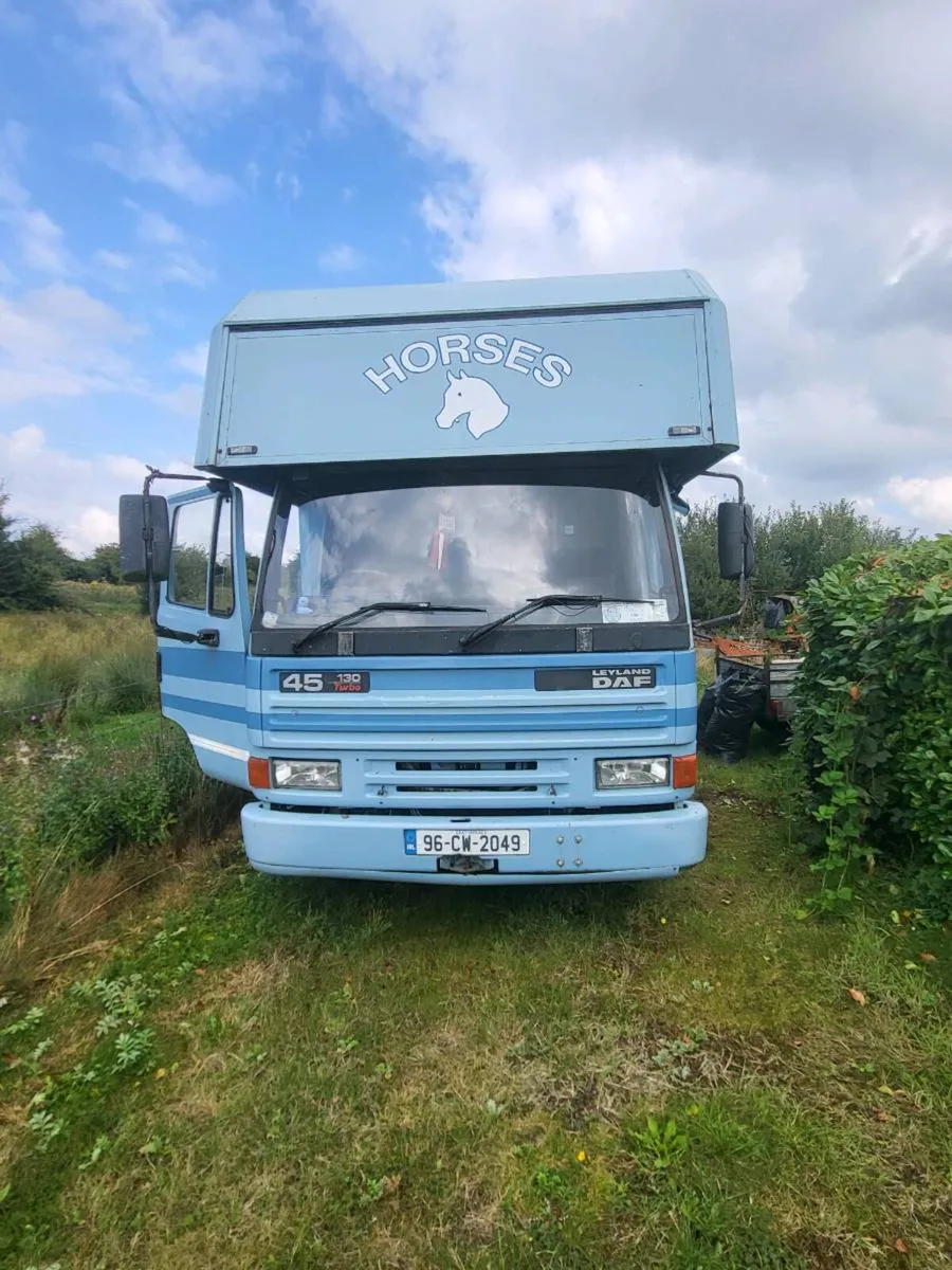 DAF HORSE LORRY - Image 4