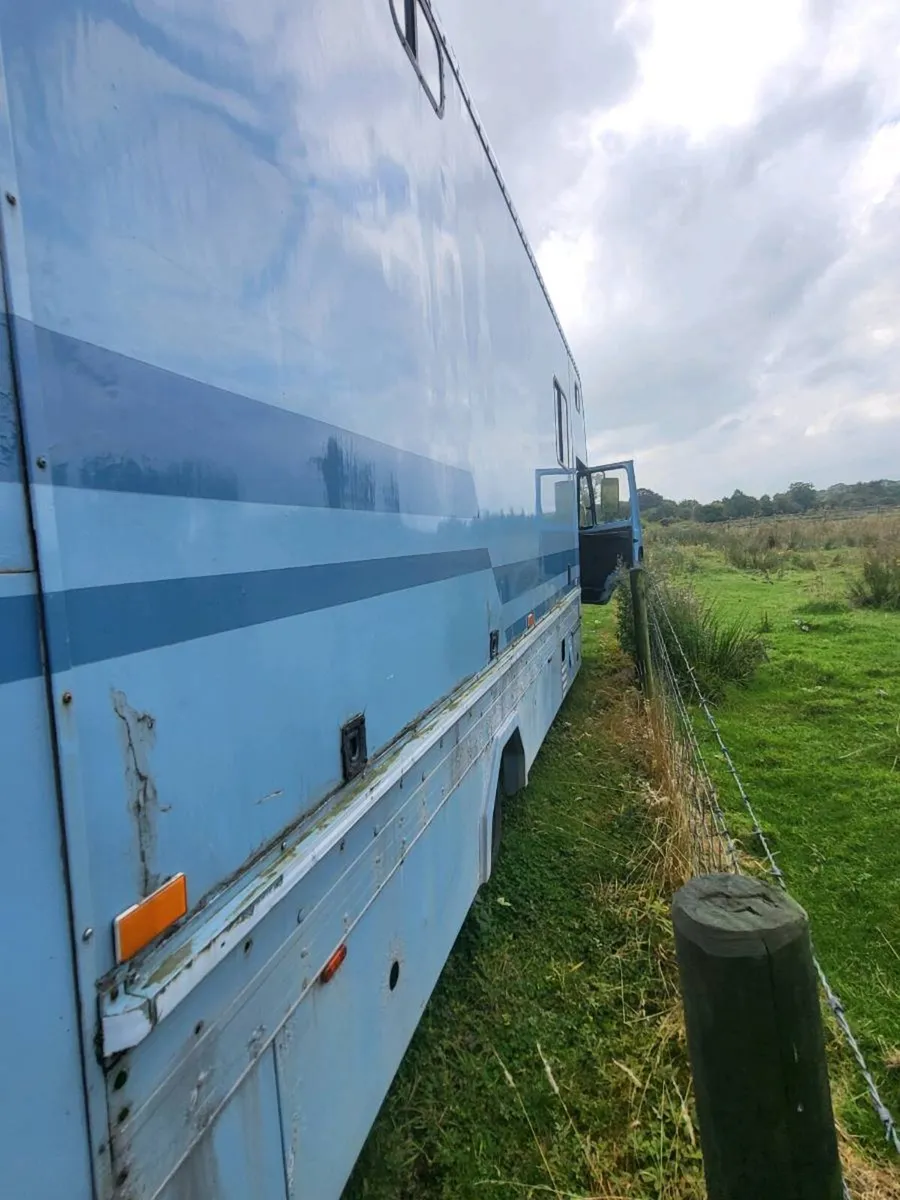 DAF HORSE LORRY - Image 2