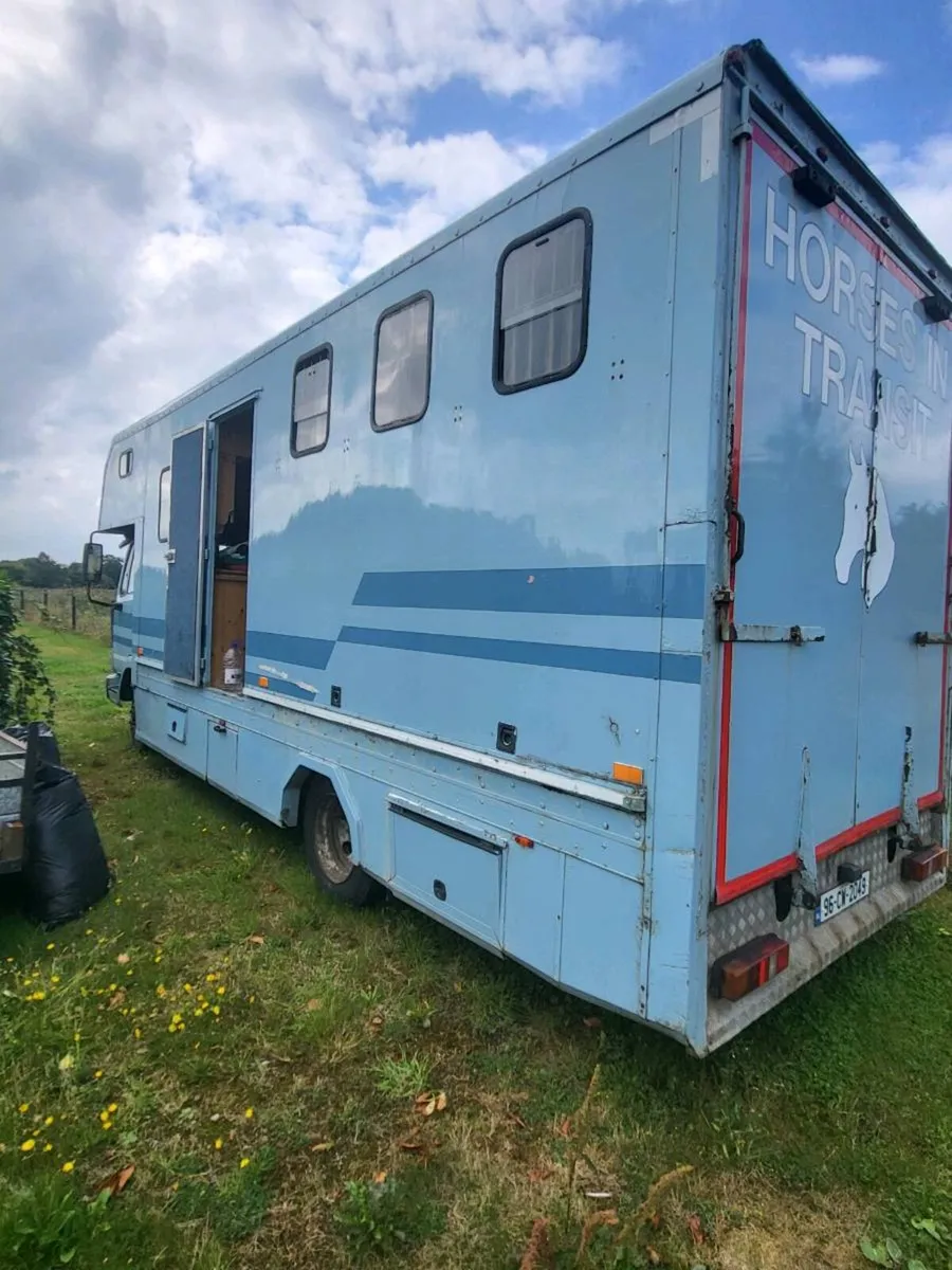 DAF HORSE LORRY - Image 3