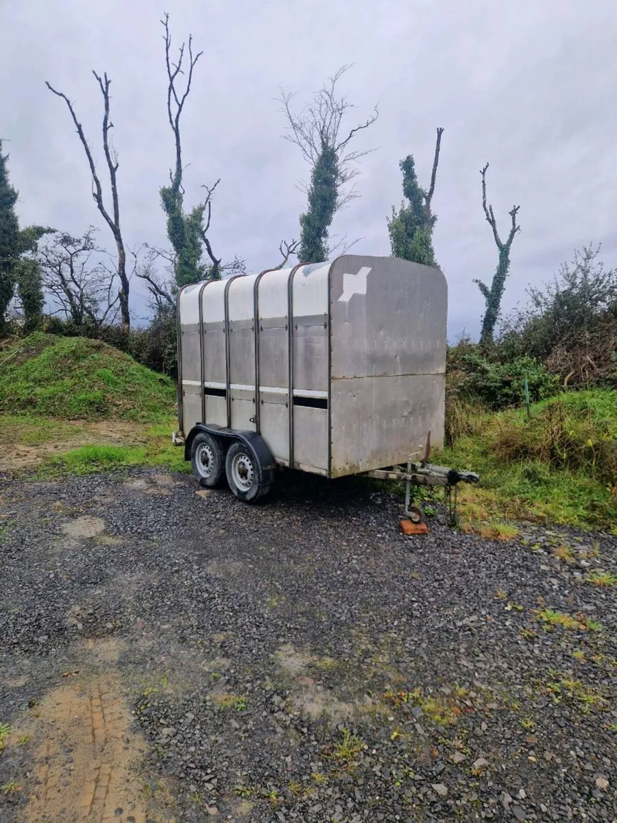 Ifor williams high roof cattle/horsebox - Image 1