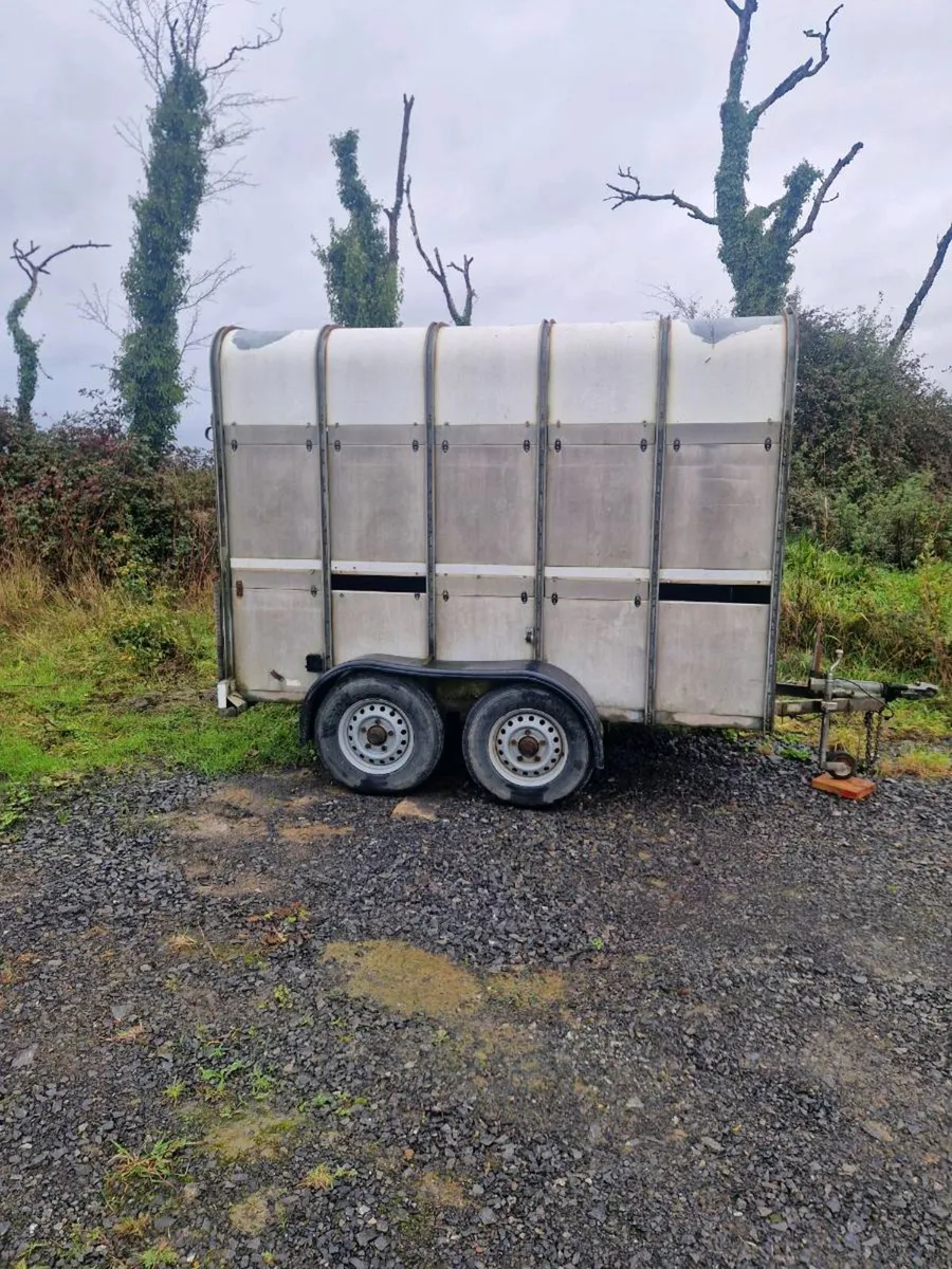 Ifor williams high roof cattle/horsebox - Image 2