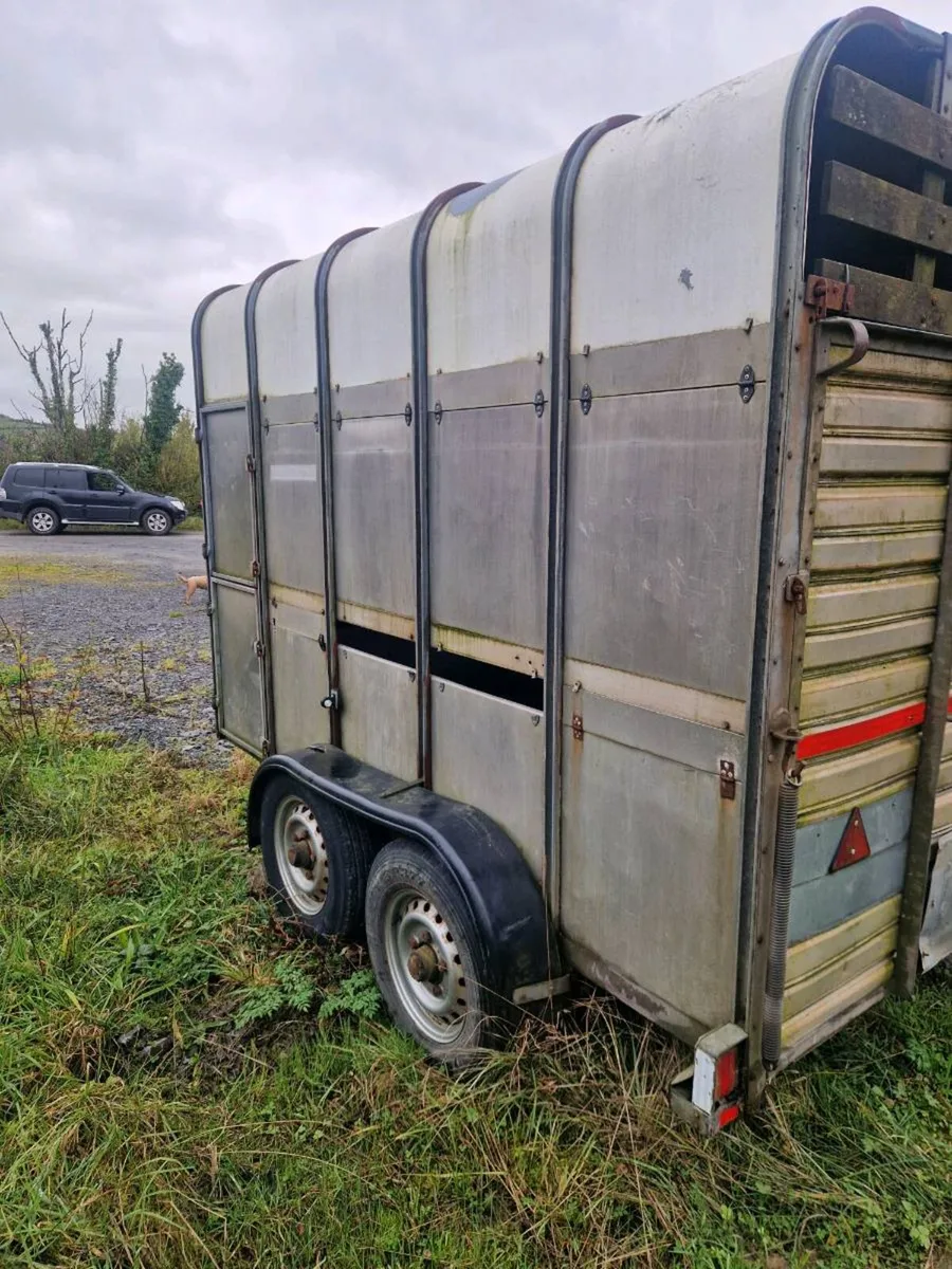 Ifor williams high roof cattle/horsebox - Image 4