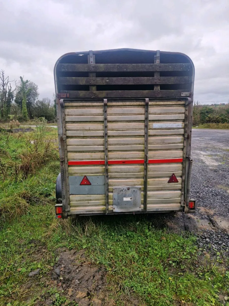 Ifor williams high roof cattle/horsebox - Image 3