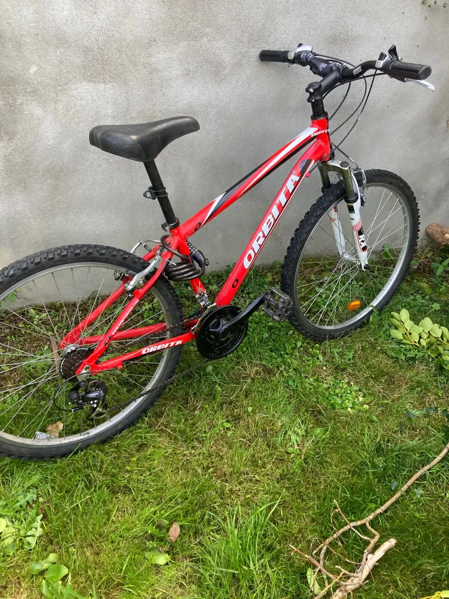 26 inch Bike - Image 1
