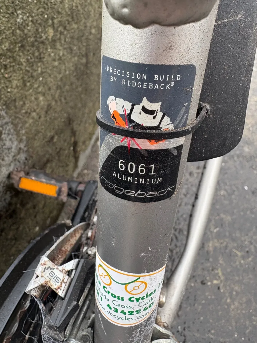 Ladies bike - Image 2